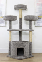Main Coon Cat House Cat Tree