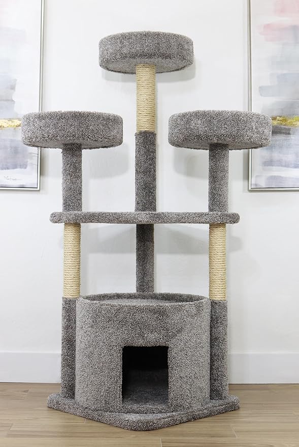 Main Coon Cat House Cat Tree