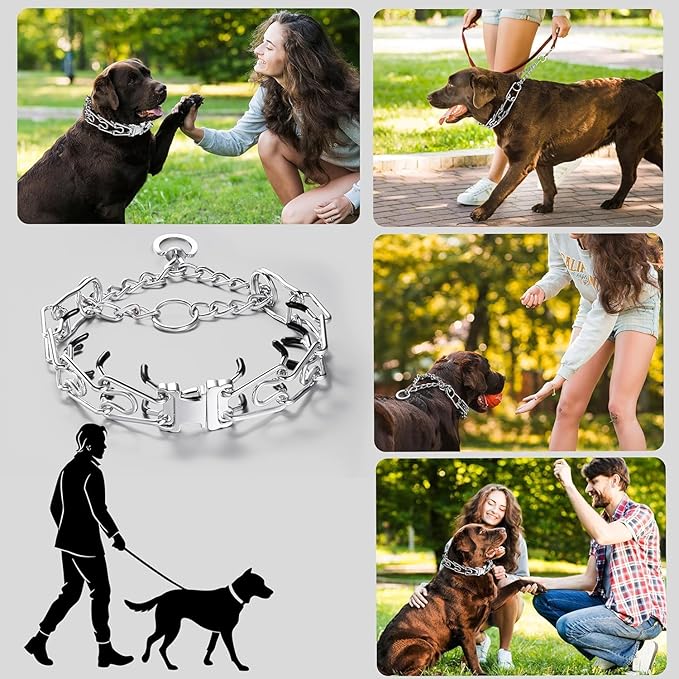 Dog Collar, Adjustable Stainless Steel Collar with Quick Release Buckle for Small Medium Large Dogs (M&L/Neck Girth 14.5"-18.6")