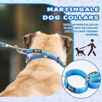 Martingale Collar for Dogs Large Medium Small Heavy Duty Buckle Dog Collar with Tag Ring Reflective Nylon Gradient Dog Collar No Pull Training Collar