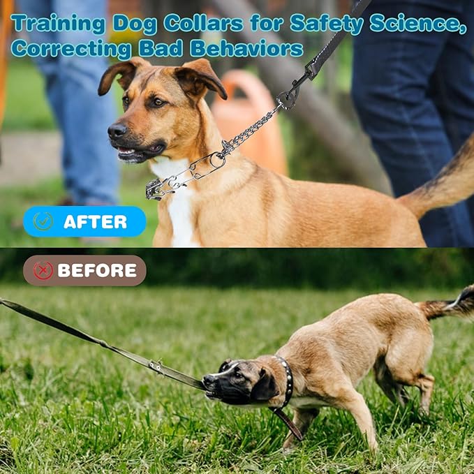 Prong Collar for Dogs,Dog Training Collar with One Professional Training Leash,Adjustable Pinch Collar with Quick Release Metal Buckle, No Pull Choke Collar for Small Medium Large Dogs（Silver, S）.