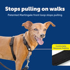 PetSafe 3 in 1 Dog Harness - No Pull Solution for Dogs - Reflective Dog Harness - Front D-Ring Clip Helps Stop Pulling - Comfortable Padded Straps - Top Handle Enhances Control - Black - Extra Small