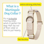 Country Brook Petz - Martingale Dog Collar - Heavy-Duty Training Collar with No Buckle - Service Dog Collar for All Pups - 10+ Warm Colors (Almond, 3/4 Inch, Small)