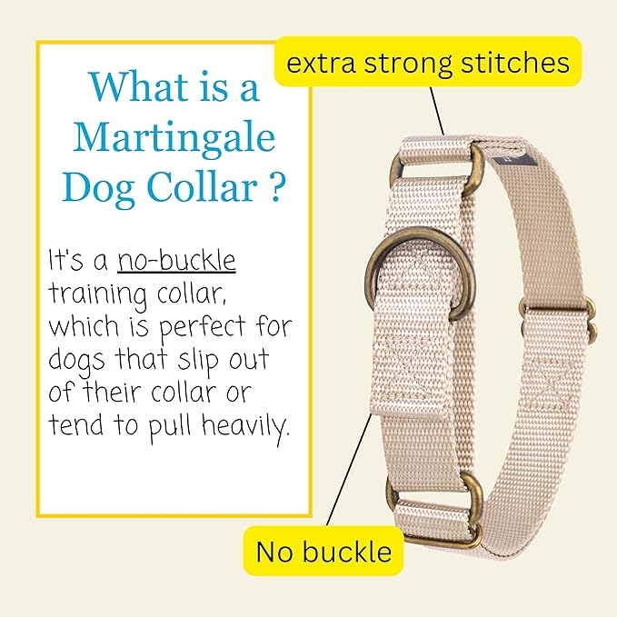 Country Brook Petz - Martingale Dog Collar - Heavy-Duty Training Collar with No Buckle - Service Dog Collar for All Pups - 10+ Warm Colors (Almond, 3/4 Inch, Small)