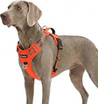 Funfox Dog Harness No Pull, Adjustable Pet Vest Harness, Super Soft Material with Vertical Handle Easy Control, Reflective Night Walking, 2 Leash Clips for XLarge Dogs, Orange, XL
