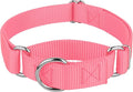 Country Brook Petz - Martingale Dog Collar - Heavy-Duty Training Collar with No Buckle - Service Dog Collar for All Pups - 10+ Warm Colors (Pink, 3/8 Inch, 2XS)