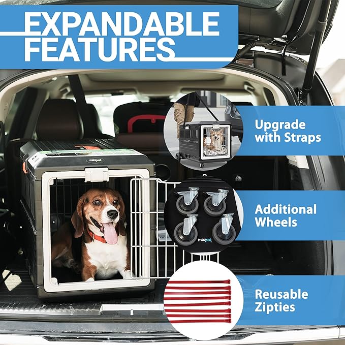 Pet Carrier with Pad, 21.5" L x 12" W x 14" H - Collapsible Travel Kit for Small Cats & Dogs, Hard Plastic Wall Kennel for Indoor/Outdoor Use
