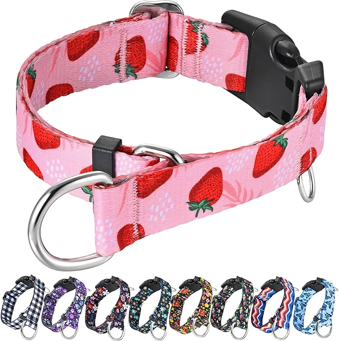 Martingale Collar for Dogs with Pink Strawberry Pattern No Pull Training Nylon Limited Slip Collars for Medium Dogs