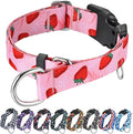 Martingale Collar for Dogs with Pink Strawberry Pattern No Pull Training Nylon Limited Slip Collars for Medium Dogs