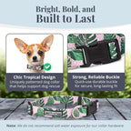 Lucky Love Dog - Adjustable Dog Collar with Easy Click Buckle for Small Ones, Durable, & Comfortable for Male & Female Dogs, Pet Collar for Puppies & Adult Dogs - Laguna, XS