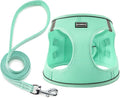 Dog Harness with Leash Set, No Pull Adjustable Reflective Step-in Puppy Pet Vest Harnesses for Small Medium Large Dogs and Cats,Green XL