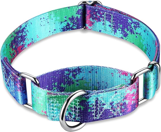 Martingale Dog Collar Escape-Proof for Training - No-Buckle, Durable Polyester Design for Medium Breeds (Ecological Oasis, M)