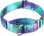 Martingale Collar for Dogs Escape-Proof No-Pull, Durable Polyester Training Collar for Dogs, No-Buckle (Ecological Oasis, Large)