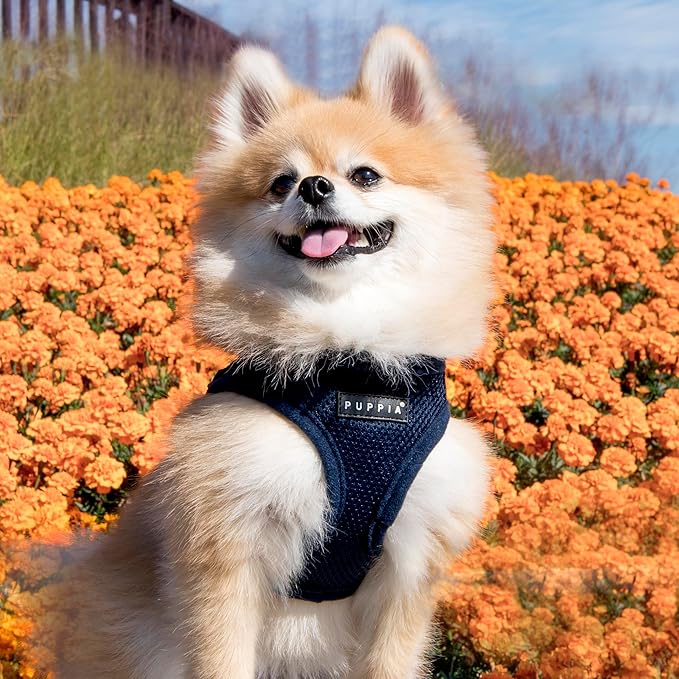 PUPPIA International PUAH305NY3L Soft Harness B Vest, Large
