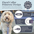 Lucky Love Dog, Comfortable, Soft, Cute Female Dog Collar for Tiny Dogs, Black & Purple Floral Print, Adjustable Nylon Collar, Primrose, X-Small