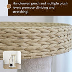 PetPals 4-Level Multi-Activity Cat Tree with Base Condo,Handwoven Paper Rope Top Nest Bed, Replaceable Sisal Scratching Posts,Teaser Toy (Cream and Beige)