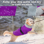 Lelepet Warm Dog Winter Coats for Medium Dogs Waterproof Dog Jacket Reflective Pet Fleece Vest Windproof Cold Weather Coats with Adjustable Buckle & Leash Hole, Purple, M