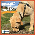 2 Hounds Design - Freedom No-Pull Harness & Training Leash in Green Mud | Dual Leash Loops, No Pulling on Walks | Lined to Prevent Chaffing | for Small Sized Dogs (Size S, Chest 20”- 24”)