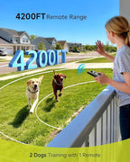 Jugbow Shock Collar for 2 Dogs (10-120lbs) - 4200FT Dog Training Collar with Remote, IPX8 Waterproof Electric Collar with 4 Training Modes, Rechargeable E-Collar for Large Medium Small Breeds