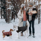 Kuoser Warm Dog Coat, Waterproof Dog Jacket for Extra Large Dogs, Adjustable Durable XL Doggie Winter Coat Reversible Cozy Puppy Cold Weather Apparel from Small to Large Breed, Red XL