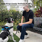 ShawnCo Essential Dog Harness, No-Pull Pet Vest with 3 Leash Clips, No Choke, Reflective, Adjustable and Padded, for Easy Walking and Training for Small, Medium and Large Dogs (Sunset Orange, M)