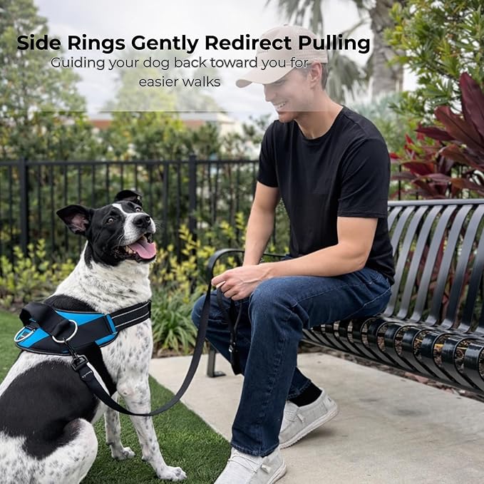ShawnCo Essential Dog Harness, No-Pull Pet Vest with 3 Leash Clips, No Choke, Reflective, Adjustable and Padded, for Easy Walking and Training for Small, Medium and Large Dogs (White Sharks, L)
