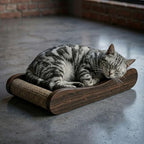 Claw Surfer Cat Bed - Cat Scratcher Bed & Lounge – Heavy Duty High-Density Cardboard, Lasts 5X Longer. Modern Curved Scratching Pad with 20mm White Frame. Non-Toxic, No Mess, Espresso