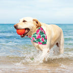 ADOGGYGO Summer Hawaii Dog Bandana, 6 Pack Flamingo & Fruit Pattern Triangle Summer Bandanas for Extra Large Dogs Pets (X-Large)