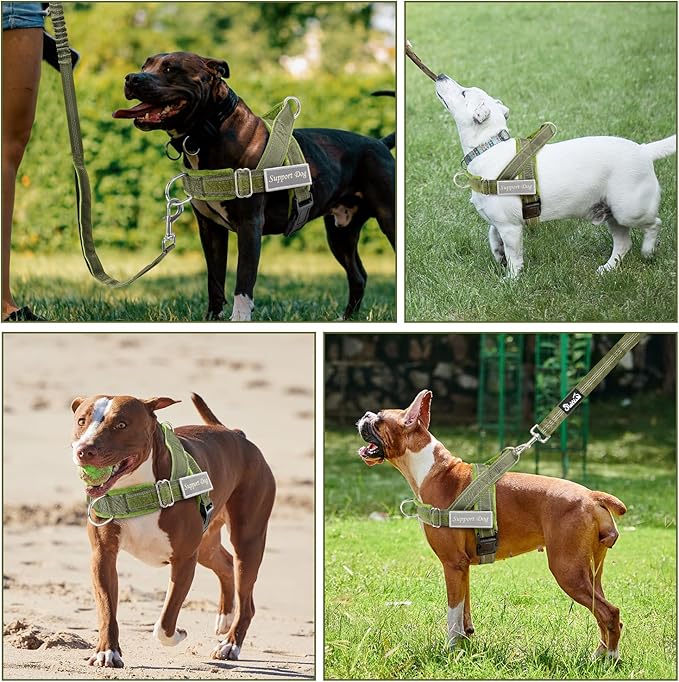 SlowTon No Pull Dog Harness - Heavy Duty Dog Harness and Leash Set for Medium Large Doggies, Reflective Tactical Harness with Soft Padded and Front Clip for Easy Walk and Training (Green S)
