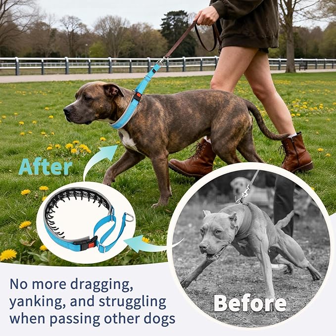 Mayerzon Martingale Dog Collar for Pulling, Patented No Pull Training Walking Collar with Buckle for Medium Large Dogs Bulldog Pitbull German Shepherd, Reflective, Adjustable(M, Light Blue)