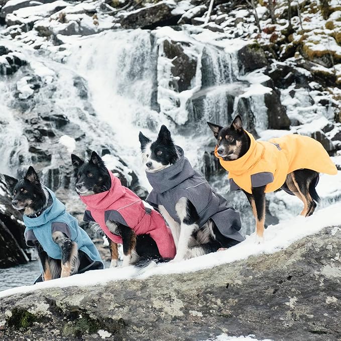 Hurtta Expedition Parka, Winter Dog Coat, BlackBerry, 8 in