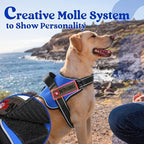 rabbitgoo Dog Harness Medium Sized, No Pull No Choke Pet Vest, Easy Wearing with One Buckle, Reflective, Adjustable Pet Harness with Molle for Walking, Training, Blue, M