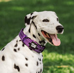 Tuff Pupper Heavy Duty Tactical Dog Collar | 1.5" Wide Ballistic Nylon | Reflective Stitching | Integrated ID Tag Holder | Stainless Steel Buckle | Padded Lining | Medium & Large Dogs (Purple, Large)