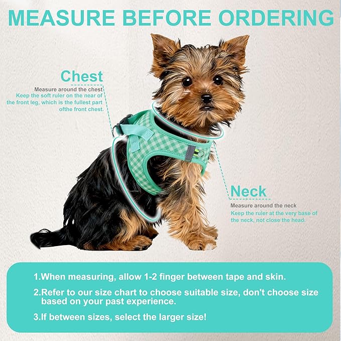 AIITLE Breathable Mesh Dog Vest Harness, No Pull Escape Proof Vest Harnesses with Reflective Bands, Adjustable Plaid Pet Outdoor Harnesses for Small and Medium Dogs Turquoise M