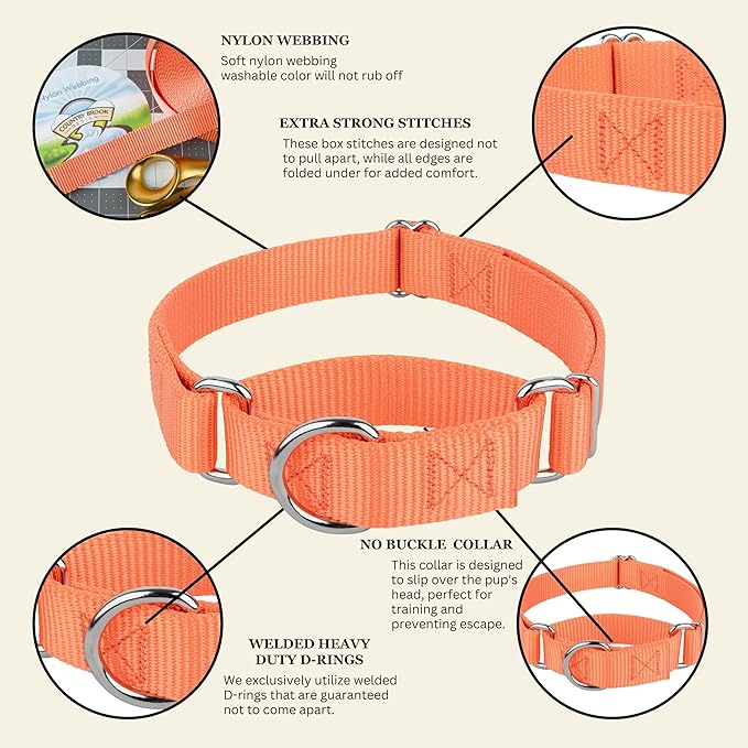 Country Brook Petz - Martingale Dog Collar - Heavy-Duty Training Collar with No Buckle - Service Dog Collar for All Pups - 10+ Warm Colors (Mango, 5/8 Inch, Extra Small)