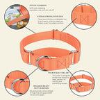 Country Brook Petz - Martingale Dog Collar - Heavy-Duty Training Collar with No Buckle - Service Dog Collar for All Pups - 10+ Warm Colors (Mango, 1 Inch, Medium)