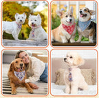 Reginary 120 Pcs Paisley Dog Bandanas Bulk Dog Bows Set Bow Ties Cat Scarf Colorful Washable Triangle Pet Kerchief Cute Bib for Summer Small Medium Large Pets Grooming Accessories Costume