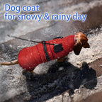 MIGOHI Cozy Small Dog Coat - Reflective Dog Coat for Small Dogs,Fleece Winter Coats Jacket for Dogs with Leash Hole,Snowproof Thick Puppy Clothes,Pomeranian,Chihuahua,XS,RedBlack