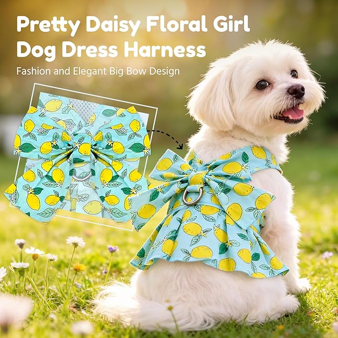BAEJMJK Dog Dress Bowknot Harness Leash Set for Small Dogs Cats Girl Floral Princess Dog Dresses Cute Puppy Fruit Clothes Pet Doggy Outfits Spring Summer Breathable Dresses(Green,Small)