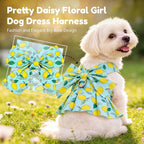 BAEJMJK Dog Dress Bowknot Harness Leash Set for Small Dogs Cats Girl Floral Princess Dog Dresses Cute Puppy Fruit Clothes Pet Doggy Outfits Spring Summer Breathable Dresses(Green,Small)