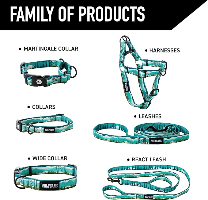 Wolfgang Heavy Duty, Adjustable Dog Collar with Quick Release Nylon Buckle for Walking & Training, GreatEscape Print, Large