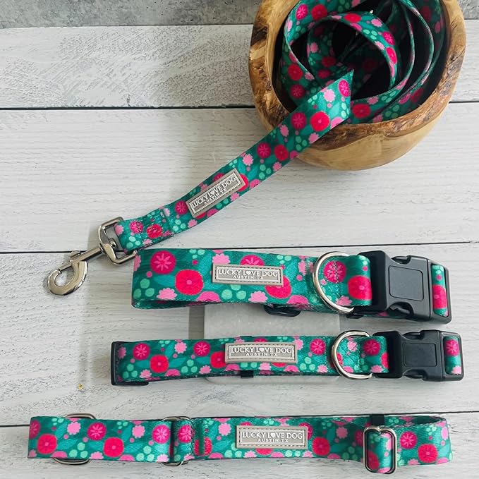 Lucky Love Dog - Adjustable Dog Collar and Leash Set with Easy Click Buckle for Small Dogs, Durable, & Comfortable Collar for Male & Female Dogs, Puppies & Adult Ones - Penny Combo, Small