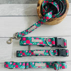Lucky Love Dog - Adjustable Dog Collar and Leash Set with Easy Click Buckle for Medium Dogs, Durable, & Comfortable Collar for Male & Female Dogs, Puppies & Adult Ones - Penny Combo, Medium