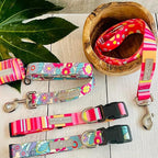 Lucky Love Dog - Easy Click Buckle Dog Collar with Leash Set Combo, Durable & Comfortable for Male & Female Dogs, Pet Collar for Small to Large Dogs, Secure Fit - Molly Combo, Small