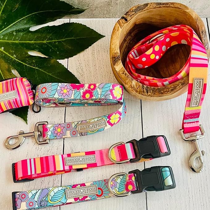 Lucky Love Dog - Adjustable Dog Collar with Easy Click Buckle for Medium, Durable, & Comfortable for Male & Female Dogs, Pet Collar for Puppies & Adult Dogs - Molly, Medium