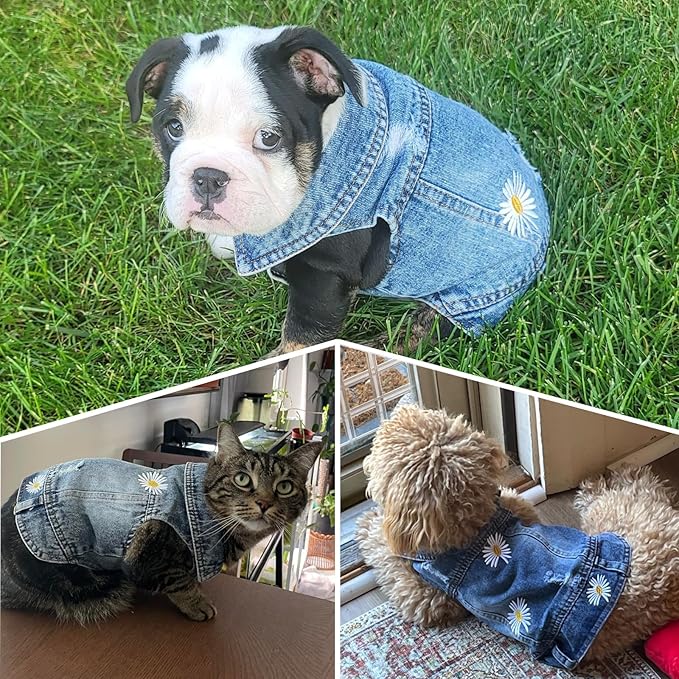 Pet Clothes Vintage Denim Dog Jacket with Daisy Embroidery - Puppy Stylish Pet Coat for Chihuahua, Yorkie Small Breeds - All-Season Comfort (Light-Blue,Medium)