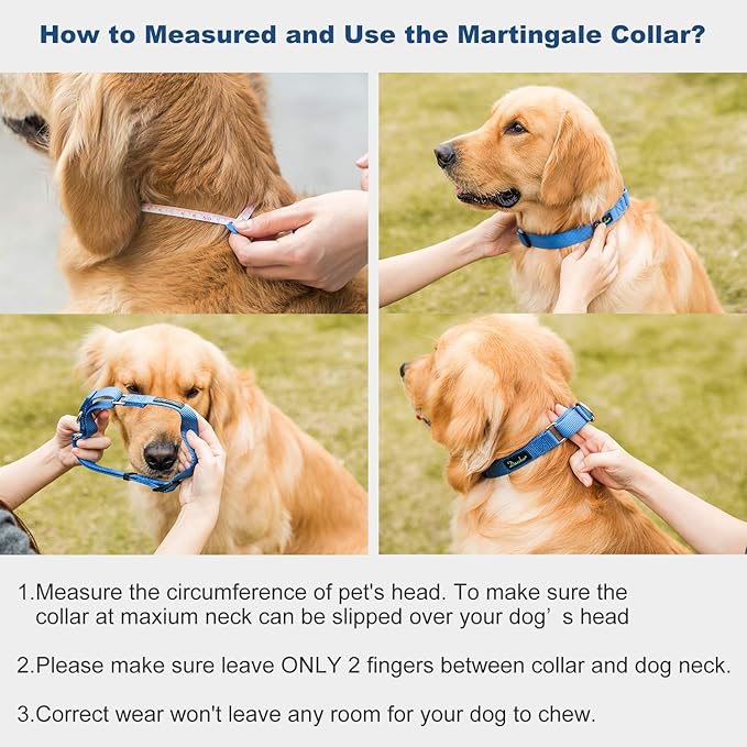 Martingale Dog Collar, Escape-Proof and No Slip Design, Heavy-Duty Nylon with Metal Buckle, Adjustable for Small, Medium & Large Dogs, Colorfast for Training, Daily Walks (Royal Blue, M)