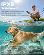 Dog Shock Collar with Remote Control, 3300FT Dog Training Collar with Beep/Vibration/Shock, Security Lock, IPX8 Waterproof Ecollar Rechargeable for Medium Large Dogs