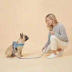 Didog Soft Flannel Padded Dog Vest Harness, No Pull/Quick Fit Reflective Dog Strap Harness, Easy for Training Walking (XS:Chest 15-18", Mixed-Blue)