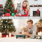 Raised Ceramic Dog Bowl Set - Elevated Double Dishes with Stainless Steel Stand - Food and Water Bowls for Small Dogs and Indoor Cats - Each Holds 1.6 Cups (10.8 fl oz) - Grey